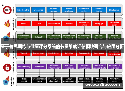基于有氧训练与健康评分系统的节奏维度评估模块研究与应用分析