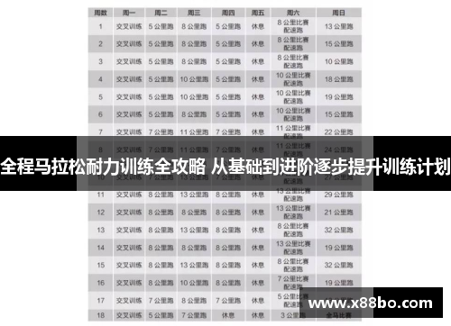 全程马拉松耐力训练全攻略 从基础到进阶逐步提升训练计划
