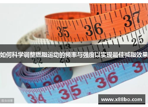 如何科学调整燃脂运动的频率与强度以实现最佳减脂效果